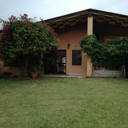 Calapira *